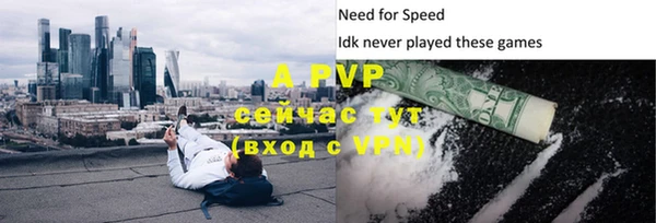 стафф Покачи