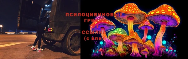 амф Алексеевка