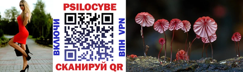 купить наркотики сайты Красноармейск Галлюциногенные грибы Magic Shrooms